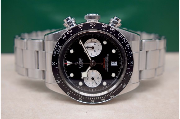 copy of Tudor Fastrider...